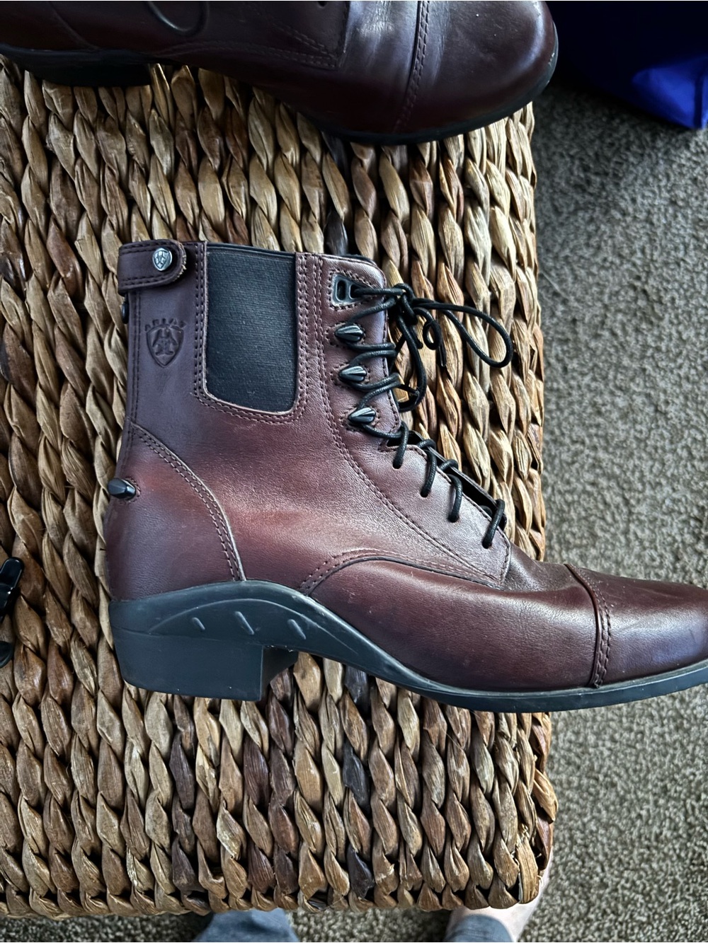 Ariat Women's Dark Brown Leather Lace-Up paddock Boots - Picture 6 of 7